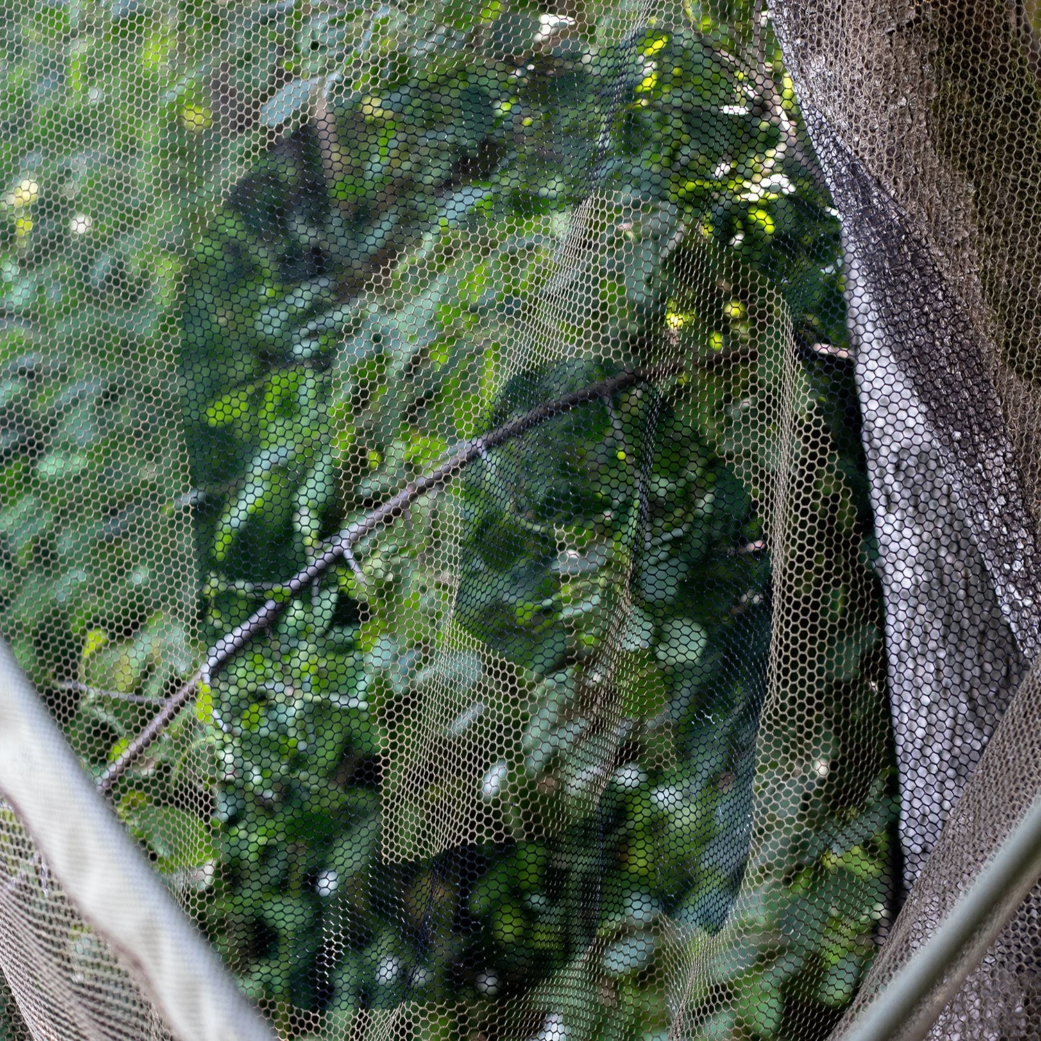 Trakker Propel Landing Net 1-Piece 7 Trakker Propel Landing Net 1-Piece - Image 5